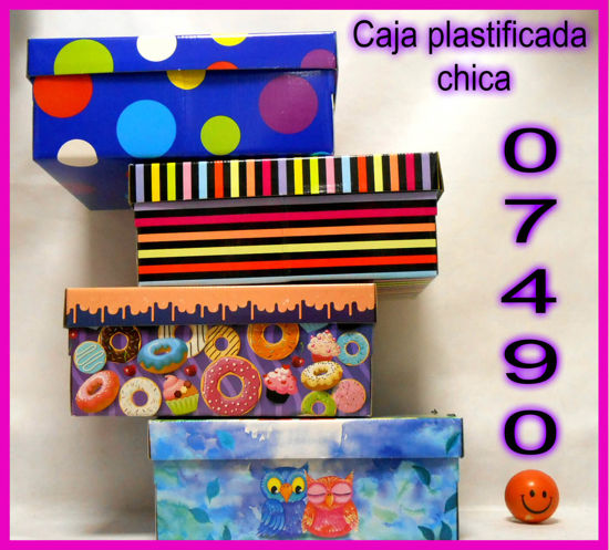 Imagen de CAJA PLASTIFICADA CHICA 31X22X13CM 4.25